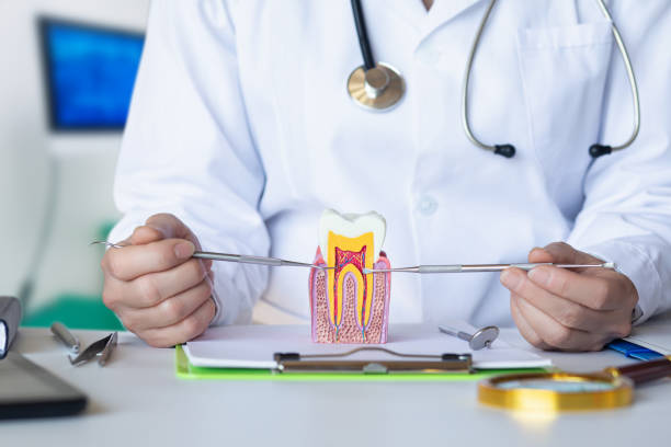 Best Broken or Chipped Tooth Repair in Allendale, CA